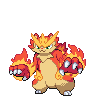 Pawarm